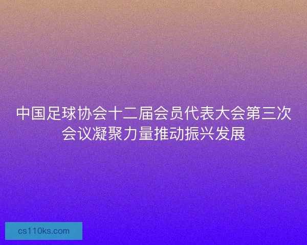 中国足球协会十二届会员代表大会第三次会议凝聚力量推动振兴发展